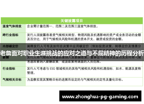 老詹面对职业生涯挑战的应对之道与不屈精神的历程分析 老詹面对职业生涯挑战的应对之道与不屈精神的历程分析
